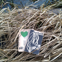 Tutaj wierzga grupa Wierzbak