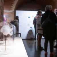 Uniwersalizm i tożsamość