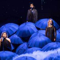 W lesie czarnych parasolek