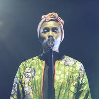 W plątaninie zmysłów