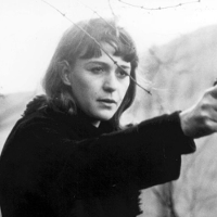 W poszukiwaniu utraconego Maja