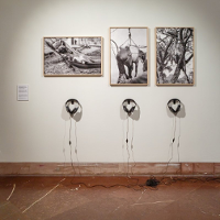 W potrzasku ludzkich narracji