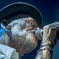 Wciąż budują flotę...