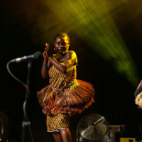 Wędrówki dalekie i bliskie