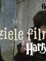 Zdjęcie postaci z harryego pottera: hermony, harry'ego i rona.