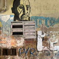 Wielka dialogująca grzybnia