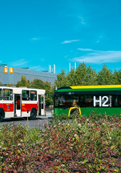 Stary i nowy autobus stoją na dziedzińcu Międzynarodowych Targów Poznańskich.