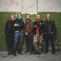 Wilk ma bardzo ostre kły