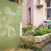 Witajcie w Bramie Doktora Marcina