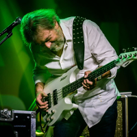 Wojownik gitary basowej