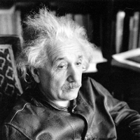 Wolne ptaki rozwijają skrzydła