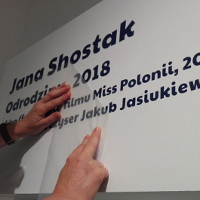 Wolność kocham i rozumiem?