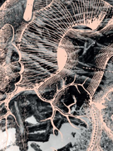 Abstrakcyjna grafika, która przypomina plątaninę gałęzi lub korzeni drzew.