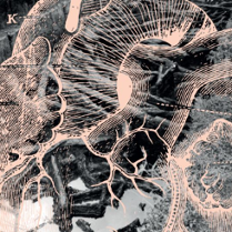 Abstrakcyjna grafika, która przypomina plątaninę gałęzi lub korzeni drzew.