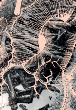 Abstrakcyjna grafika, która przypomina plątaninę gałęzi lub korzeni drzew.