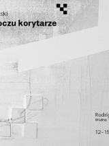 Abstrakcyjny plakat w biało szarawej kolorystyce linie i kawdraty, oraz napisy informujące o wystawie Jana Mioduchowskiego.