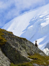 Wystawa fotograficzna Chamonix-Mont-Blanc