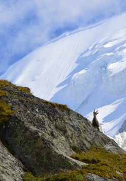 Wystawa fotograficzna Chamonix-Mont-Blanc