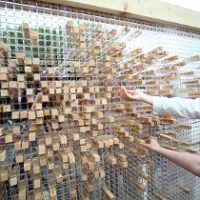 Wystawa, która zniknie