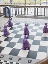 zające w Starym Browarze