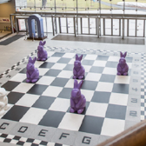 zające w Starym Browarze