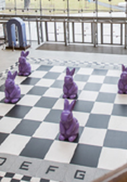 zające w Starym Browarze