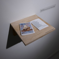 Zanurzanie, poznanie, relacja