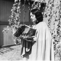 ZAPISKI Z LAMUSA. Bardzo kulturalne żarty