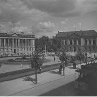 ZAPISKI Z LAMUSA. W pogoni za książką