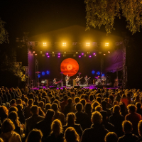 Zaskakujący festiwal