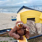 Leniwiec na plaży