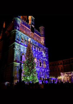 Oświetlony Ratusz nocą i stojąca przed nim choinka