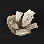 Fragment ekspozycji