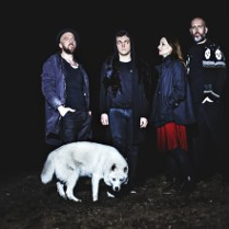 Zdjęcie przedstawia zespół muzyczny złożony z trzech mężczyzn i jednej kobiety oraz biały pies rasy husky na pierwszym planie.