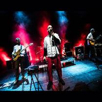 Na zdjęciu członkowie zespołu w trakcie koncertu