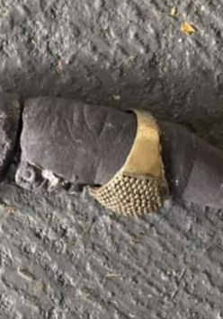 Skamieniały palec ze złotym pierścionkiem