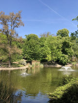Zdjęcie przedstawia jezioro w środku parku, widać drzewa oraz fontanny.