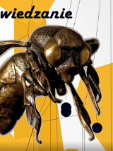 zdjęcie przestawiające pszczołę