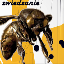 zdjęcie przestawiające pszczołę