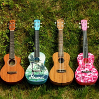 Leżące na trawie ukulele.