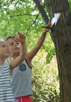 Dzieci bawiące sie w podchody w lesie.