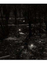 Fotografia. Nocny krajobraz. Sylwetki drzew na tle pokrytej śniegiem i kawałkami szkła ziemi. W oddali jasna ściana budynku.