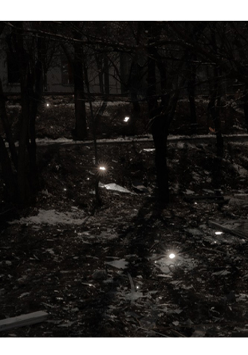 Fotografia. Nocny krajobraz. Sylwetki drzew na tle pokrytej śniegiem i kawałkami szkła ziemi. W oddali jasna ściana budynku.