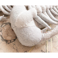 Zbliżenie na jasną formę przypominającą fragment szkieletu na beżowym kamiennym tle. Przedmiot wydaje się stworzony ręcznie - na brzegach dostrzec można regularne szwy.