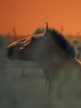 Na zdjęciu jedna z prac na wystawie.
