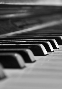 Zdjęcie klawiszy pianina.