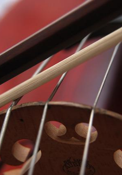 Zdjęcie części wiolonczeli.