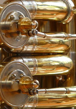 Zdjęcie fragmentu tuby.