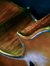 Zdjęcie części skrzypiec.