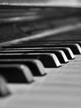 Zdjęcie fragmentu instrumentu klawiszowego.